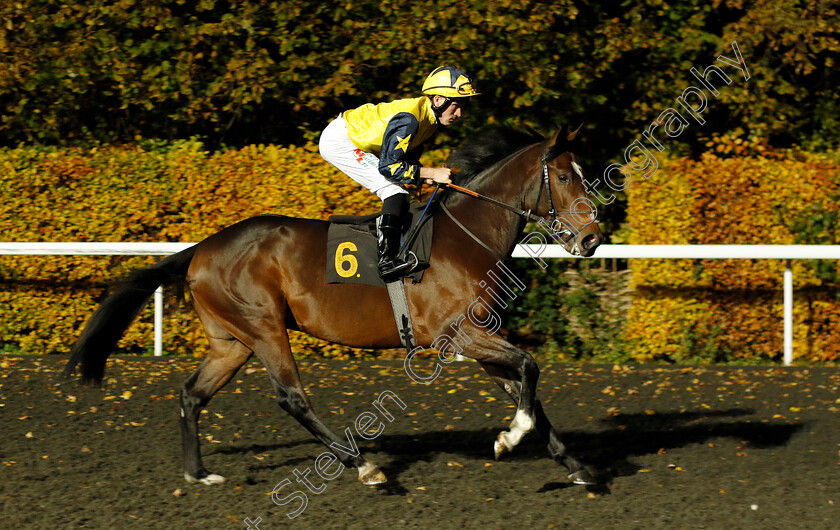 Kamboo-0001 
 KAMBOO (Finley Marsh)
Kempton 15 Nov 2023 - Pic Steven Cargill / Racingfotos.com