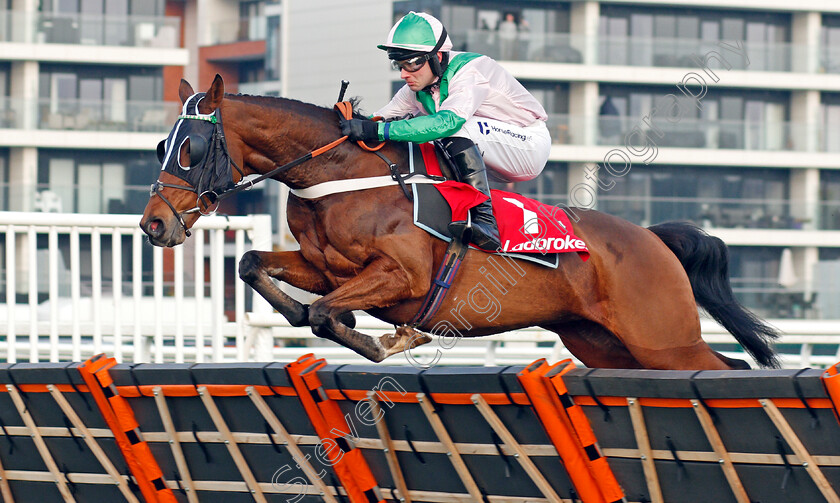 The-Cashel-Man-0001 
 THE CASHEL MAN (Jeremiah McGrath) wins The Ladbrokes Handicap Hurdle
Newbury 30 Nov 2019 - Pic Steven Cargill / Racingfotos.com