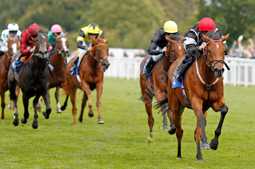 Herecomesthesun-0005 
 HERECOMESTHESUN (Edward Greatrex) wins The British EBF Quidhampton Maiden Fillies Stakes Div1 Salisbury 7 Sep 2017 - Pic Steven Cargill / Racingfotos.com