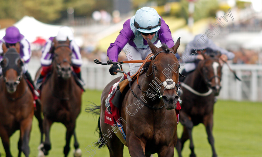 Alcohol-Free-0006 
 ALCOHOL FREE (Oisin Murphy) wins The Qatar Sussex Stakes
Goodwood 28 Jul 2021 - Pic Steven Cargill / Racingfotos.com