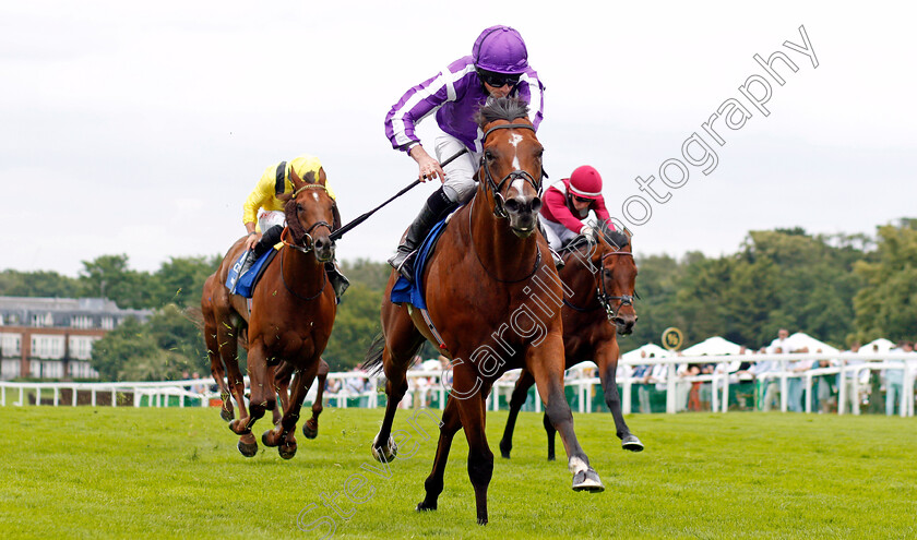 St-Mark s-Basilica-0009 
 ST MARK'S BASILICA (Ryan Moore) beats ADDEYBB (left) and MISHRIFF (right) in The Coral Eclipse Stakes
Sandown 3 Jul 2021 - Pic Steven Cargill / Racingfotos.com