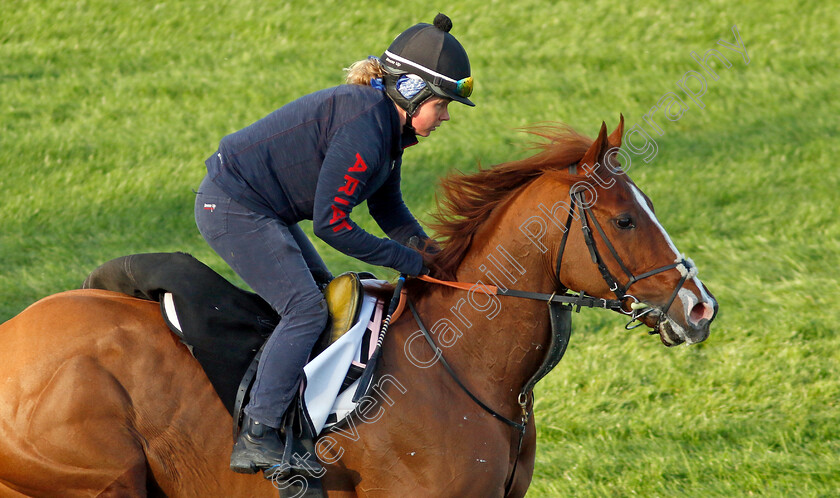 Itsatenfromlen-0002 
 ITSATENFROMLEN training at the Dubai Racing Carnival
Meydan 22 Jan 2025 - Pic Steven Cargill / Racingfotos.com