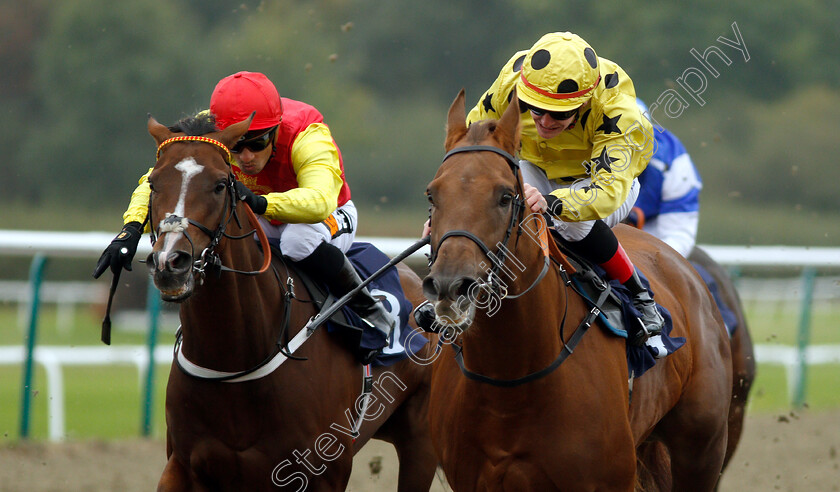 Graceful-James-and-Goodwood-Showman-0001 
 GRACEFUL JAMES (right, Kieran O'Neill) and GOODWOOD SHOWMAN (left, Silvestre De Sousa)
Lingfield 4 Oct 2018 - Pic Steven Cargill / Racingfotos.com