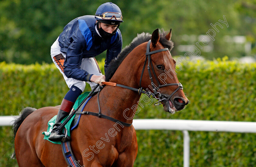 Limited-Edition-0002 
 LIMITED EDITION (David Egan)
Kempton 2 Jun 2021 - Pic Steven Cargill / Racingfotos.com