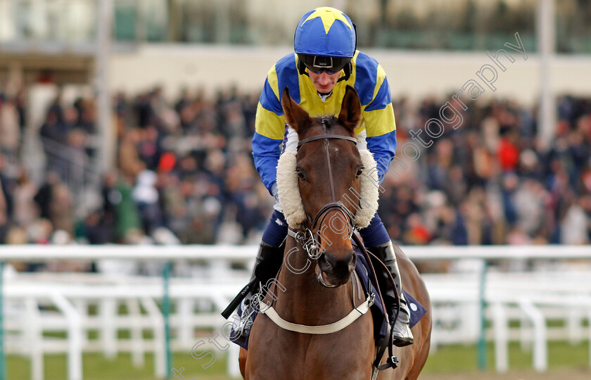 Bowman-0002 
 BOWMAN (Daniel Muscutt)
Lingfield 20 Jan 2024 - Pic Steven Cargill / Racingfotos.com