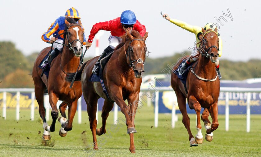 Threat-0005 
 THREAT (centre, Pat Dobbs) beats JUAN ELCANO (right) in The Pommery Champagne Stakes
Doncaster 14 Sep 2019 - Pic Steven Cargill / Racingfotos.com