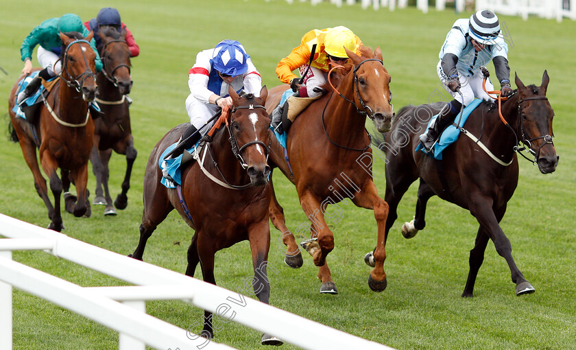 Themaxwecan-0003 
 THEMAXWECAN (left, James Doyle) beats SLEEPING LION (2nd right) and BLUE LAUREATE (right) in The John Guest Racing Brown Jack Handicap
Ascot 26 Jul 2019 - Pic Steven Cargill / Racingfotos.com