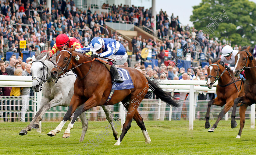 The-Foxes-0006 
 THE FOXES (Oisin Murphy) beats WHITE BIRCH (left) in The Al Basti Equiworld Dubai Dante Stakes
York 18 May 2023 - Pic Steven Cargill / Racingfotos.com