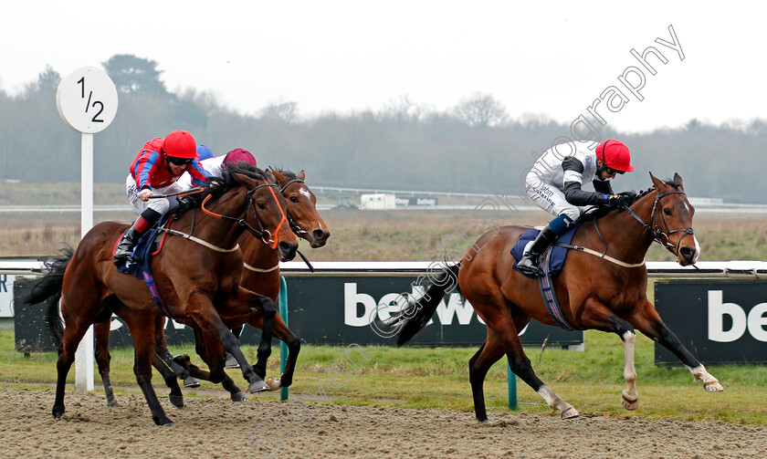 Merry-Secret-0004 
 MERRY SECRET (Alistair Rawlinson) beats HE CAN DANCE (left) in The Play Ladbrokes 5-A-Side On Football Handicap
Lingfield 6 Feb 2021 - Pic Steven Cargill / Racingfotos.com