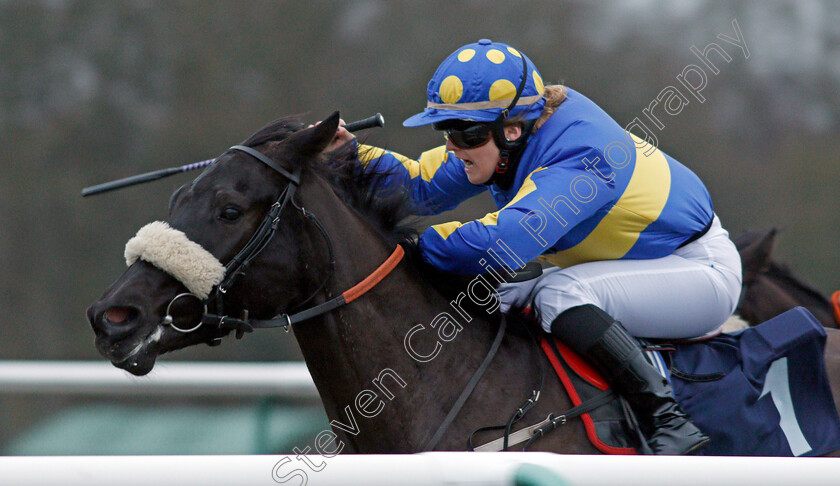 Jorvik-Prince-0002 
 JORVIK PRINCE (Georgia Dobie) Lingfield 12 Jan 2018 - Pic Steven Cargill / Racingfotos.com