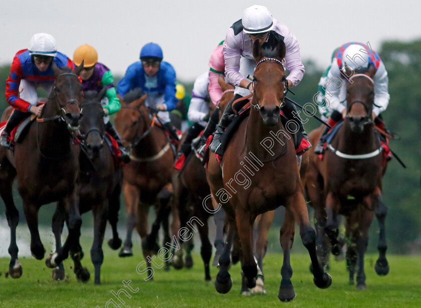 Roxzoff-0004 
 ROXZOFF (Tom Marquand) wins The Play Coral Racing Super Series For Free Handicap
Sandown 26 May 2022 - Pic Steven Cargill / Racingfotos.com