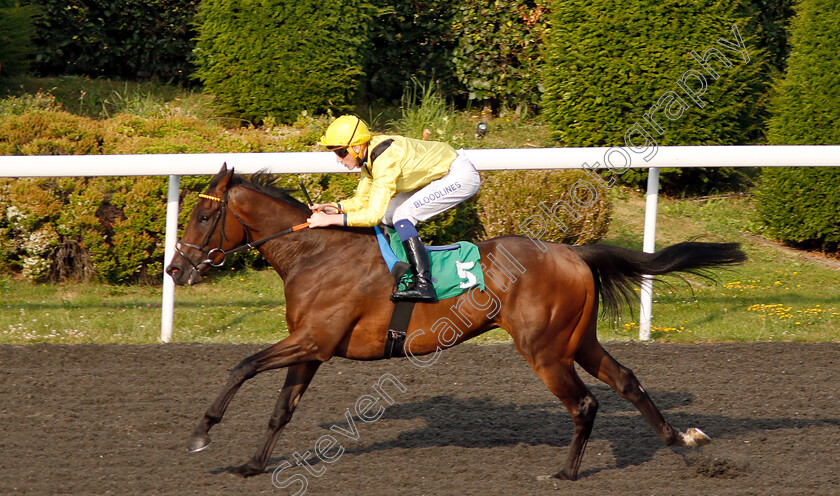 Motawaj-0006 
 MOTAWAJ (David Egan) wins The 32Red Casino Handicap Div1
Kempton 10 Jul 2019 - Pic Steven Cargill / Racingfotos.com