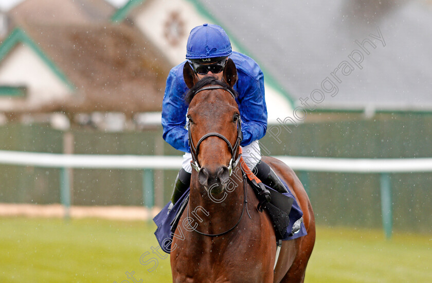 Al-Reef-0002 
 AL REEF (Pat Cosgrave) Yarmouth 24 Apr 2018 - Pic Steven Cargill / Racingfotos.com