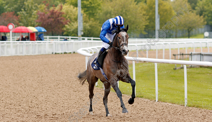 Motawaajed-0001 
 MOTAWAAJED (Jim Crowley) winner of The Wolverhampton Holiday Inn Maiden Stakes
Wolverhampton 24 May 2021 - Pic Steven Cargill / Racingfotos.com