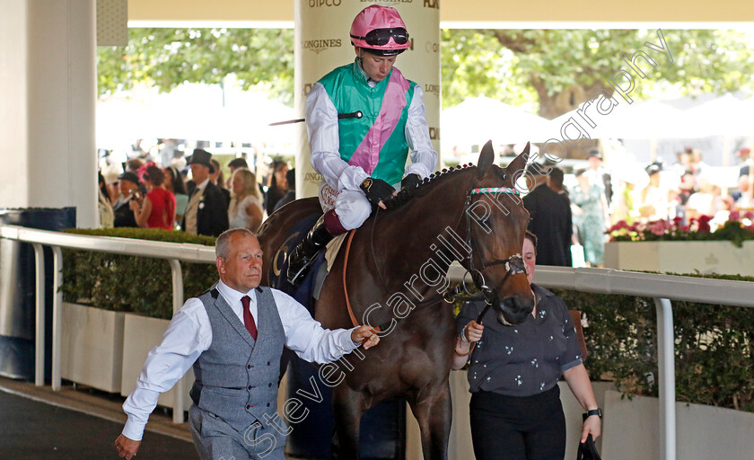 Kalpana-0001 
 KALPANA (Oisin Murphy)
Royal Ascot 20 Jun 2024 - Pic Steven Cargill / Racingfotos.com