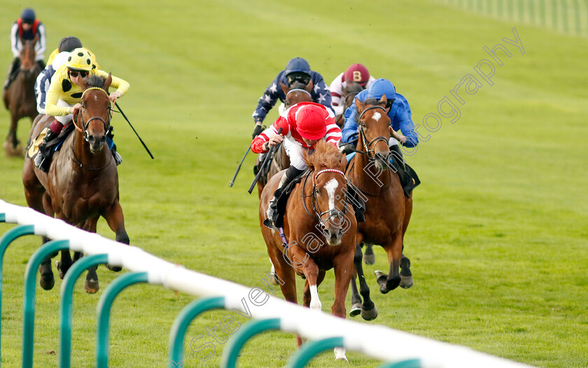 Hand-Of-God-0006 
 HAND OF GOD (Kevin Stott) wins The Virgin Bet Best Odds Daily British EBF Maiden Stakes
Newmarket 7 Oct 2023 - Pic Steven Cargill / Racingfotos.com