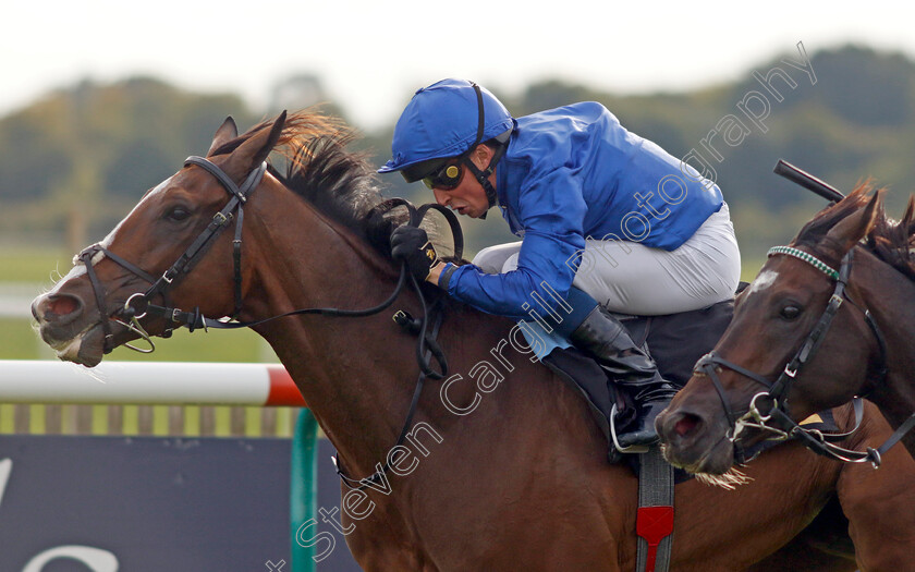 Dhahabi-0001 
 DHAHABI (William Buick) wins The Weatherbys Stallion Book Handicap
Newmarket 22 Sep 2022 - Pic Steven Cargill / Racingfotos.com