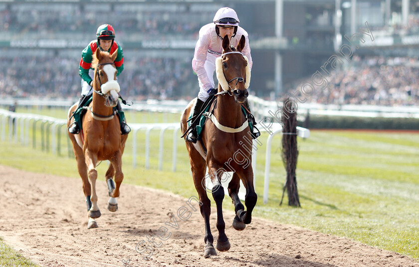 Nadaitak-0001 
 NADAITAK (Tom Bellamy)
Aintree 6 Apr 2019 - Pic Steven Cargill / Racingfotos.com