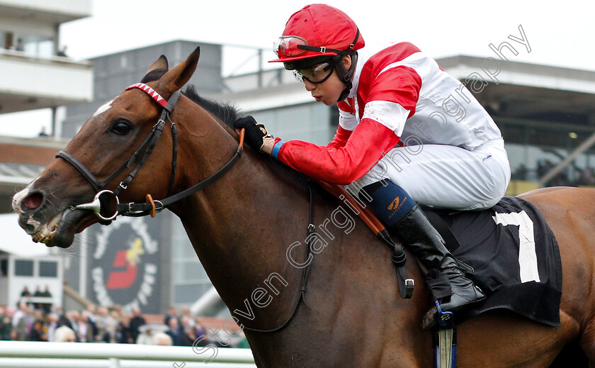 Fortune-And-Glory-0004 
 FORTUNE AND GLORY (Scott McCullagh) wins The Racing TV Handicap
Newbury 19 Jul 2019 - Pic Steven Cargill / Racingfotos.com