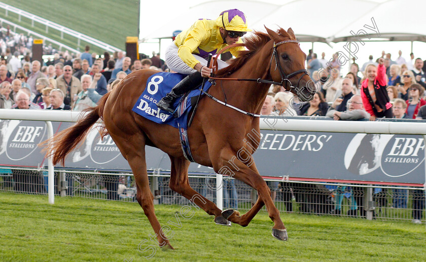 Sea-Of-Class-0006 
 SEA OF CLASS (James Doyle) wins The Darley Yorkshire Oaks
York 23 Aug 2018 - Pic Steven Cargill / Racingfotos.com