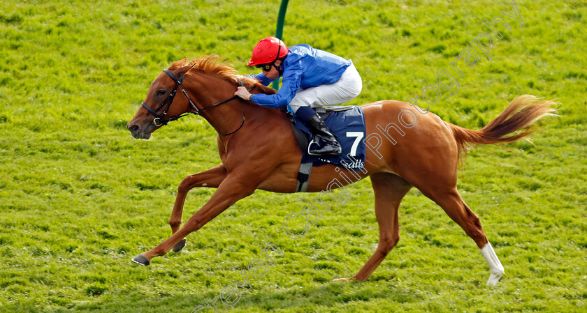 Mountain-Breeze-0003 
 MOUNTAIN BREEZE (William Buick) wins The Tattersalls EBF Fillies Novice Stakes
Newmarket 5 May 2024 - Pic Steven Cargill / Racingfotos.com