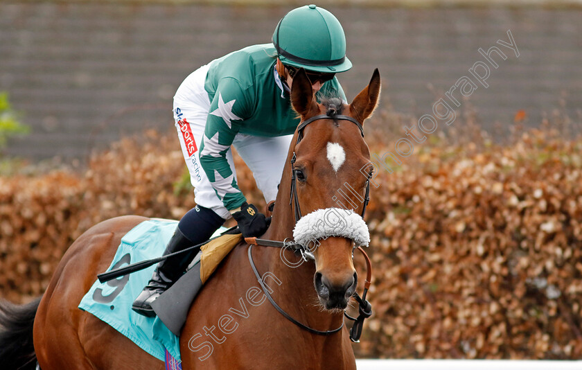 Screaming-Eagle-0002 
 SCREAMING EAGLE (Hollie Doyle)
Kempton 3 Apr 2024 - Pic Steven Cargill / Racingfotos.com