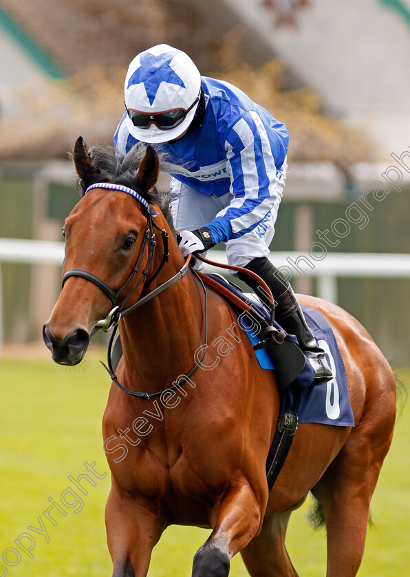 Mystery-Fox-0001 
 MYSTERY FOX (Silvestre De Sousa)
Yarmouth 19 May 2021 - Pic Steven Cargill / Racingfotos.com