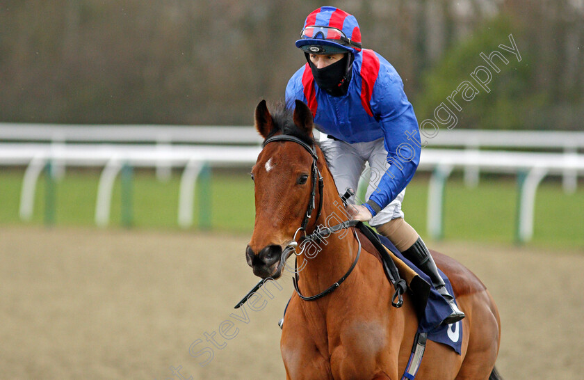 Kingdom-Found-0002 
 KINGDOM FOUND (Richard Kingscote)
Lingfield 6 Feb 2021 - Pic Steven Cargill / Racingfotos.com