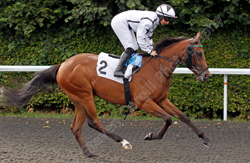 Whiskey-Glasses-0001 
 WHISKEY GLASSES (Nicola Currie)
Kempton 7 Aug 2024 - Pic Steven Cargill / Racingfotos.com