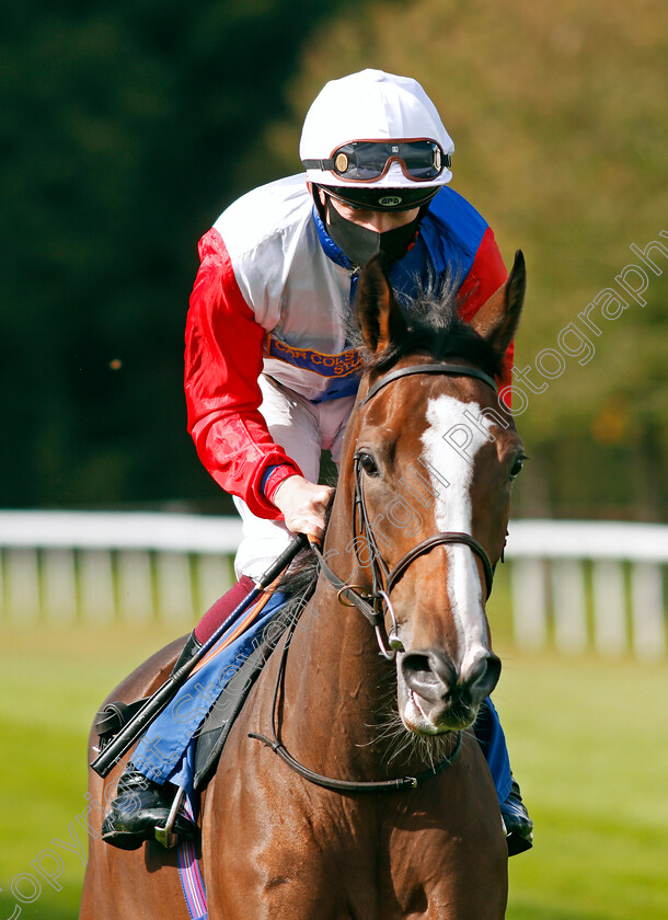 Free-Will-0001 
 FREE WILL (Rob Hornby)
Salisbury 1 Oct 2020 - Pic Steven Cargill / Racingfotos.com