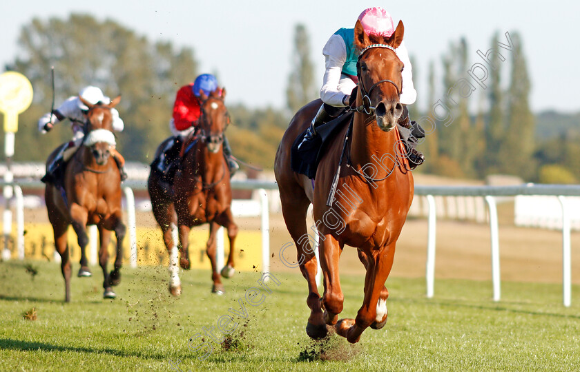 Quadrilateral-0009 
 QUADRILATERAL (Jason Watson) wins The Dubai Duty Free Full Of Surprises British EBF Fillies Conditions Stakes
Newbury 20 Sep 2019 - Pic Steven Cargill / Racingfotos.com