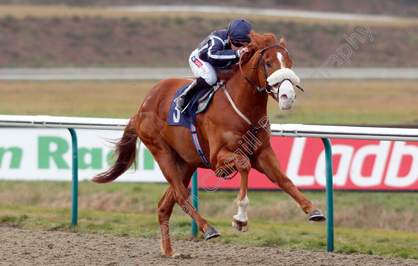 Harvey-Dent-0009 
 HARVEY DENT (Hollie Doyle) wins The Ladbrokes Home Of The Odds Boost Novice Median Auction Stakes
Lingfield 25 Jan 2019 - Pic Steven Cargill / Racingfotos.com