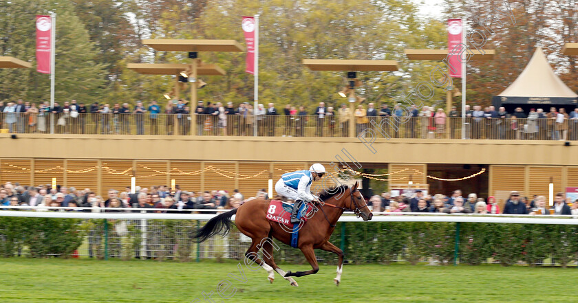 Matematica-0001 
 MATEMATICA (Maxine Guyon)
Longchamp 7 Oct 2018 - Pic Steven Cargill / Racingfotos.com