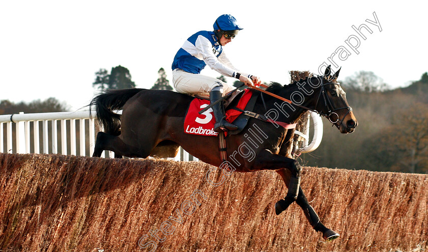 Aso-0004 
 ASO (Charlie Deutsch) wins The Ladbrokes Handicap Chase
Newbury 30 Nov 2018 - Pic Steven Cargill / Racingfotos.com