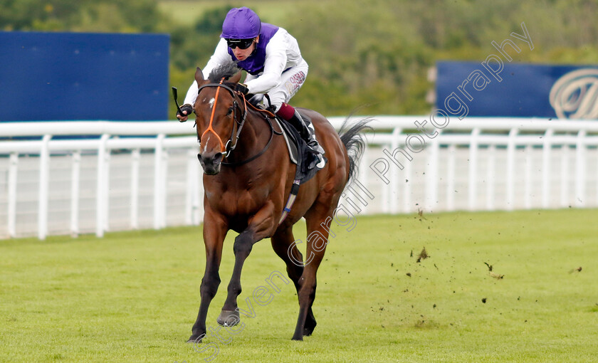 Principality-0002 
 PRINCIPALITY (Oisin Murphy) wins The Hallgarten & Novum Wines British EBF Novice Stakes
Goodwood 9 Jun 2024 - pic Steven Cargill / Racingfotos.com