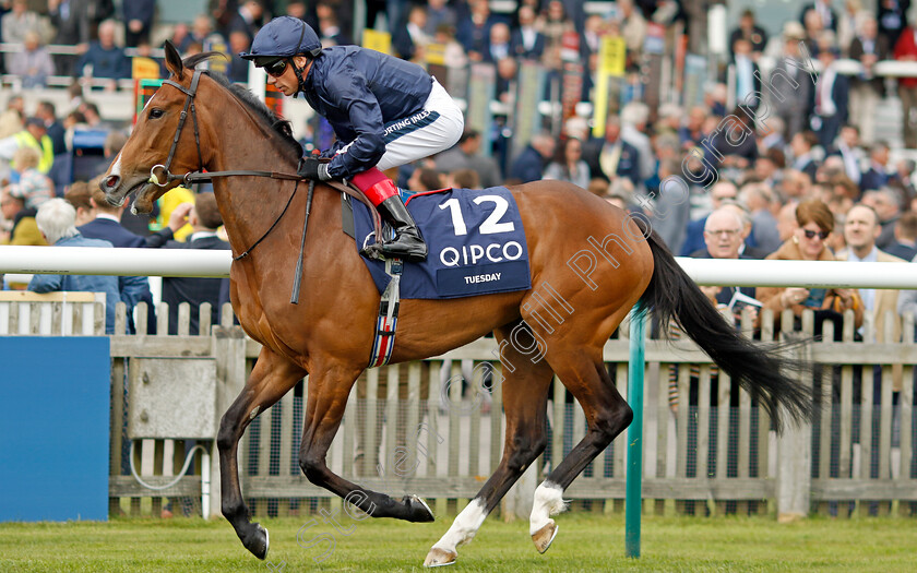 Tuesday 
 TUESDAY (Frankie Dettori)
Newmarket 1 May 2022 - Pic Steven Cargill / Racingfotos.com