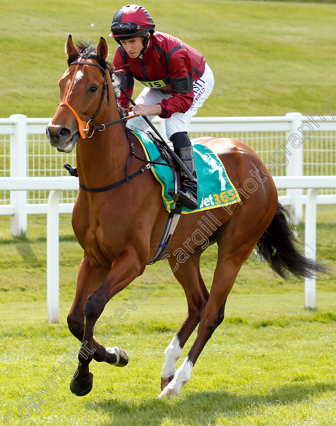 Masaru-0001 
 MASARU (Ryan Moore) winner of The bet365 Esher Cup
Sandown 26 Apr 2019 - Pic Steven Cargill / Racingfotos.com