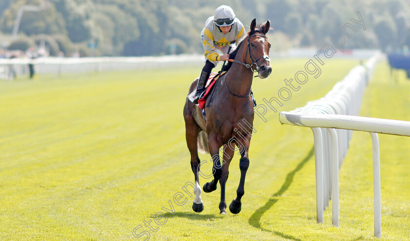 Zaaki-0001 
 ZAAKI (Ryan Moore) before The Sky Bet & Symphony Group Strensall Stakes
York 24 Aug 2019 - Pic Steven Cargill / Racingfotos.com