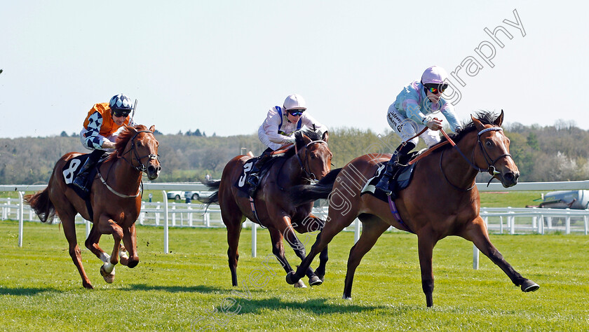 Dave-Dexter-0002 
 DAVE DEXTER (Richard Kingscote) beats GLORY FIGHTER (centre) and THEGREATESTSHOWMAN (left) in The Dreweatts Newcomers EBF Maiden Stakes Newbury 20 Apr 2018 - Pic Steven Cargill / Racingfotos.com