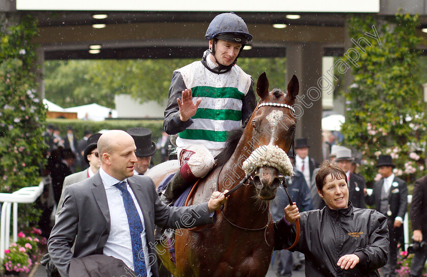 Dashing-Willoughby-0009 
 DASHING WILLOUGHBY (Oisin Murphy) after The Queen's Vase
Royal Ascot 19 Jun 2019 - Pic Steven Cargill / Racingfotos.com