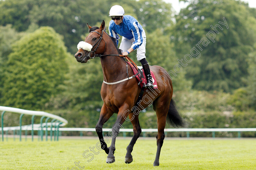 Hello-Youmzain-0002 
 HELLO YOUMZAIN (Kevin Stott) before winning The Armstrong Aggregates Sandy Lane Stakes
Haydock 25 May 2019 - Pic Steven Cargill / Racingfotos.com