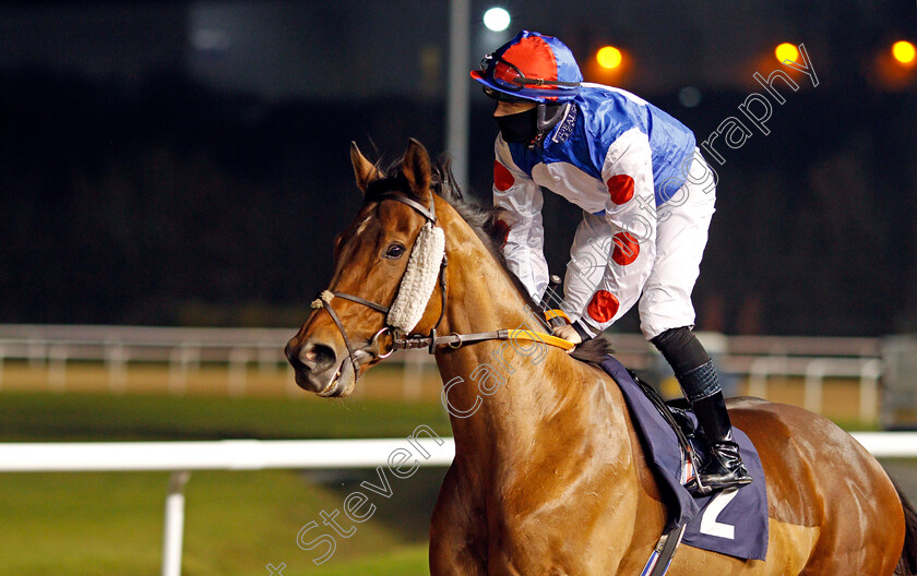 Sha-La-La-La-Lee-0002 
 SHA LA LA LA LEE (Richard Kingscote)
Wolverhampton 5 Dec 2020 - Pic Steven Cargill / Racingfotos.com