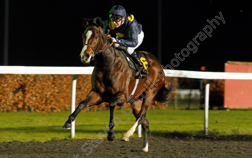 Highbrow-0003 
 HIGHBROW (Jamie Spencer) wins The Matchbook VIP Novice Stakes Div2 Kempton 13 Dec 2017 - Pic Steven Cargill / Racingfotos.com