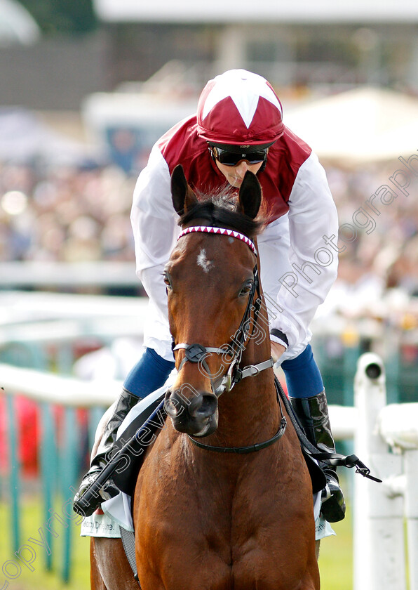 Glorious-Journey-0002 
 GLORIOUS JOURNEY (William Buick) winner of The Cazoo Park Stakes
Doncaster 11 Sep 2021 - Pic Steven Cargill / Racingfotos.com