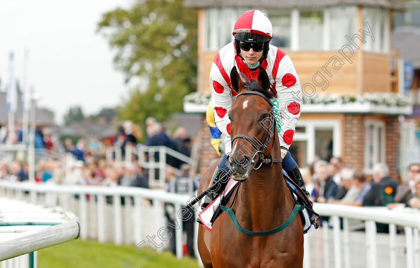 Liberty-Beach-0001 
 LIBERTY BEACH (Jason Hart)
York 22 Aug 2019 - Pic Steven Cargill / Racingfotos.com