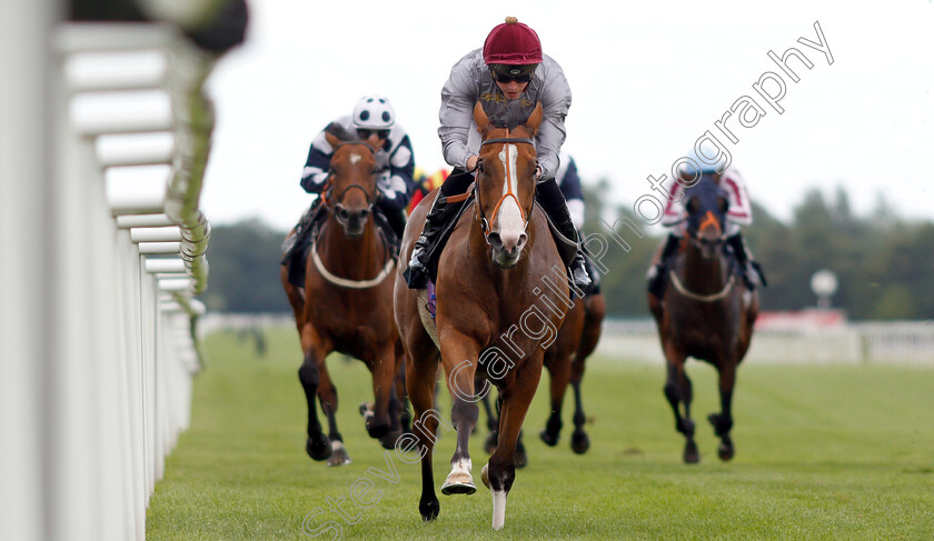 Qaysar-0002 
 QAYSAR (James Doyle) wins The Melbourne 10 Handicap
Newbury 6 Aug 2019 - Pic Steven Cargill / Racingfotos.com