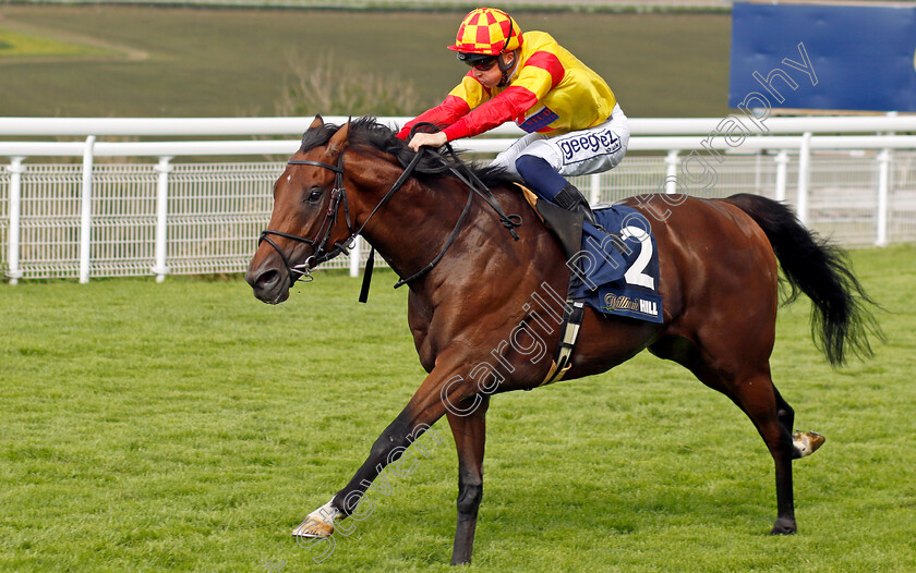 Savvy-Victory-0004 
 SAVVY VICTORY (David Probert) wins The William Hill Handicap
Goodwood 28 Aug 2022 - Pic Steven Cargill / Racingfotos.com