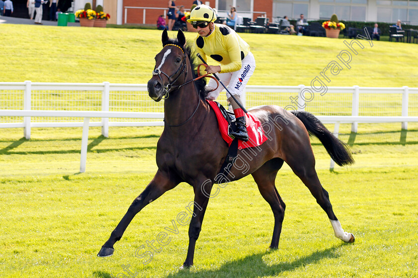 Sam-Gold-0001 
 SAM GOLD (Andrea Atzeni) Sandown 1 Sep 2017 - Pic Steven Cargill / Racingfotos.com