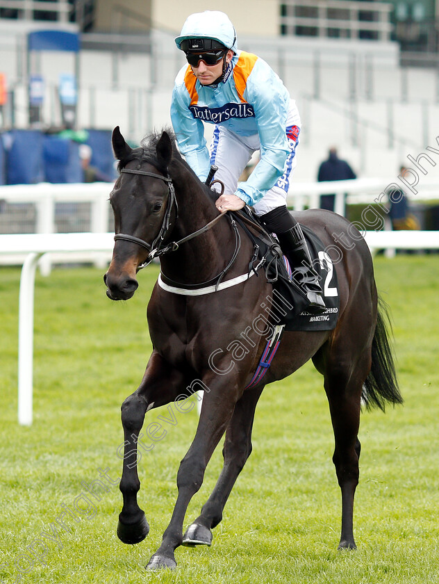 Ventura-Rebel-0001 
 VENTURA REBEL (Paul Hanagan) before The Irish Thoroughbred Marketing Royal Ascot Two-Year-Old Trial Stakes
Ascot 1 May 2019 - Pic Steven Cargill / Racingfotos.com