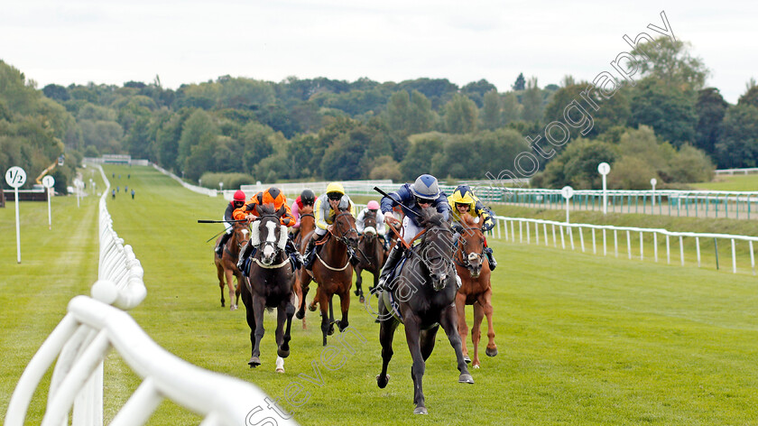 Stopnsearch-0002 
 STOPNSEARCH (William Carson) wins The Read Andrew Balding On Betway Insider Handicap Div1
Lingfield 7 Sep 2020 - Pic Steven Cargill / Racingfotos.com